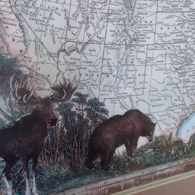Nicely Framed Wildlife Themed 'America of Mercator's Projection'