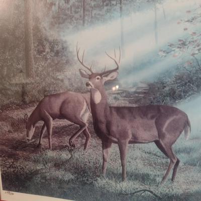 Framed Limited Edition Print 'Morning Stroll-'Whitetails' by Randy McGovern 268/580