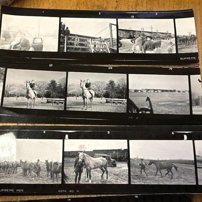lot historic US ARMY HORSE CAVALRY FT MYER & NY WORLDS FAIR PHOTOS 1940