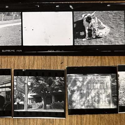 lot historic US ARMY HORSE CAVALRY FT MYER & NY WORLDS FAIR PHOTOS 1940