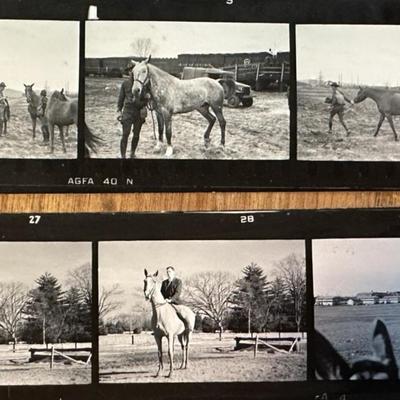 lot historic US ARMY HORSE CAVALRY FT MYER & NY WORLDS FAIR PHOTOS 1940