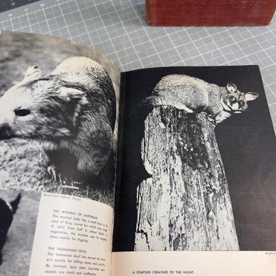 The Animal Kingdom 3 Volume Set 
