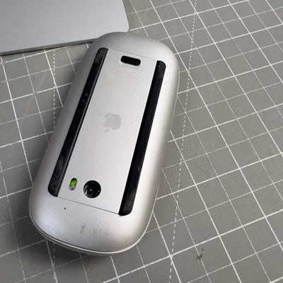Apple Pad and Mouses 
