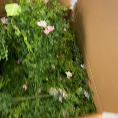 Box Full of GREENERY - 2 dozen Plastic Faux Décor