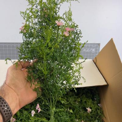 Box Full of GREENERY - 2 dozen Plastic Faux Décor