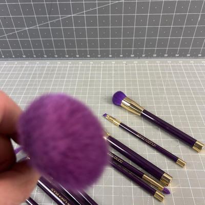 Sonia Kashuk MAKE UP BRUSHES