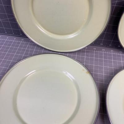 Sage Color Enamel Plates 