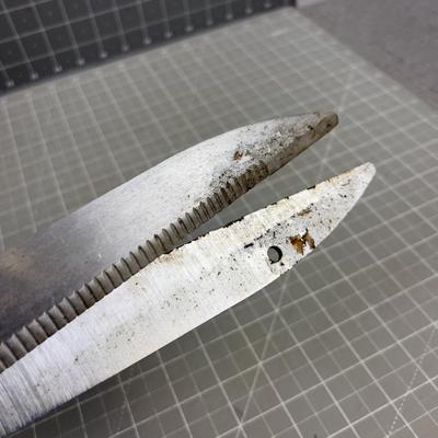 Fiskars Heavy Duty Hedge Sheers