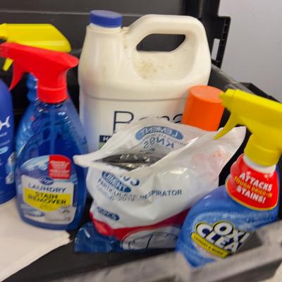 Tub Full of Household Cleaning Products 