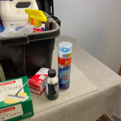 Tub Full of Household Cleaning Products 