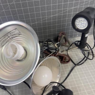 4 Lights; 2 Halogens and 2 Clip Ons 