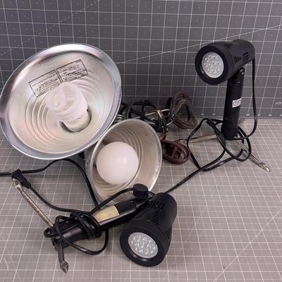 4 Lights; 2 Halogens and 2 Clip Ons 