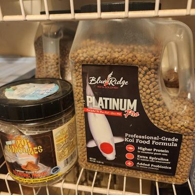 Koi Fish food & Pond Supplies