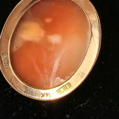 Cameo Pendant 14K Gold set