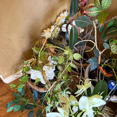 Real and Artificial Flowers with Pots