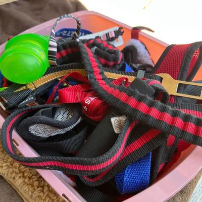 Sale Photo Thumbnail #51: Dog crate , dog bed, leashes, and toys.