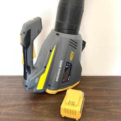 LOT 51: Ryobi Hybrid 18 P2107 Blower, P514 Saw, and P118 Battery IntelliPort Charger, Lynxx Cordless Blower, Battery Pack and More