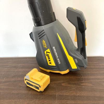 LOT 51: Ryobi Hybrid 18 P2107 Blower, P514 Saw, and P118 Battery IntelliPort Charger, Lynxx Cordless Blower, Battery Pack and More