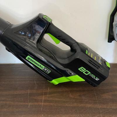 LOT 54: Pair of Power Blowers - Greenworks Pro, Model LB6500 with Two Batteries and One Power Charger