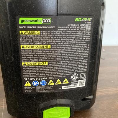 LOT 54: Pair of Power Blowers - Greenworks Pro, Model LB6500 with Two Batteries and One Power Charger