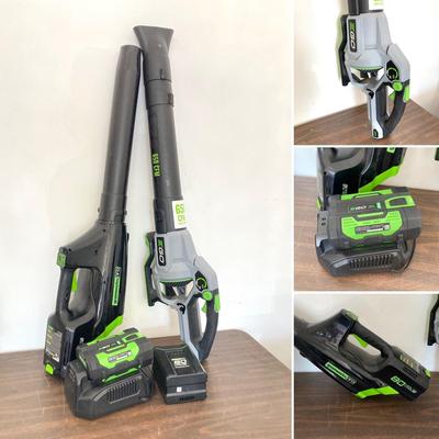 LOT 54: Pair of Power Blowers - Greenworks Pro, Model LB6500 with Two Batteries and One Power Charger