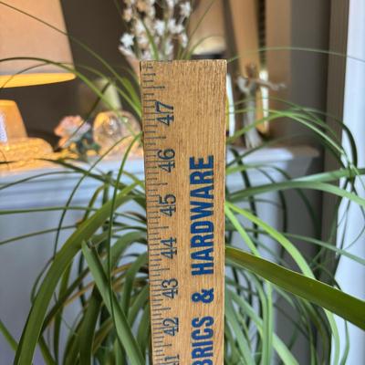 LOT 95: Green Thumb Collection - Live Plants