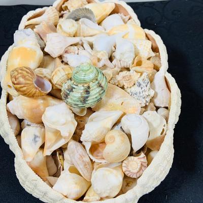 LOT 222: Beach Inspired Decor Featuring Sea Shell Bowls Loaded with Seashells, Towels and Wall Art.