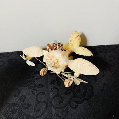 LOT. 224: Tropical Inspired Collection Including Seashell Bowl Loaded with Seashells, Seashell Plane, and a Money Tree Plant