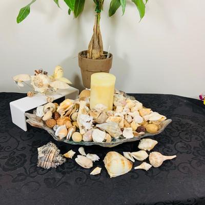 LOT. 224: Tropical Inspired Collection Including Seashell Bowl Loaded with Seashells, Seashell Plane, and a Money Tree Plant