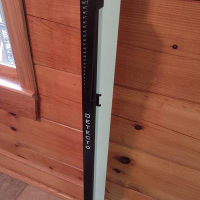 Detecto Stand Up Doctor's Scale