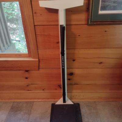 Detecto Stand Up Doctor's Scale