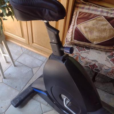 True 500U Exercise Stationary Bike
