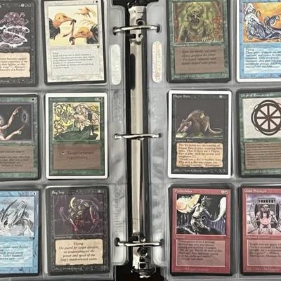 Magic the gathering - MTG - Binder of magic cards