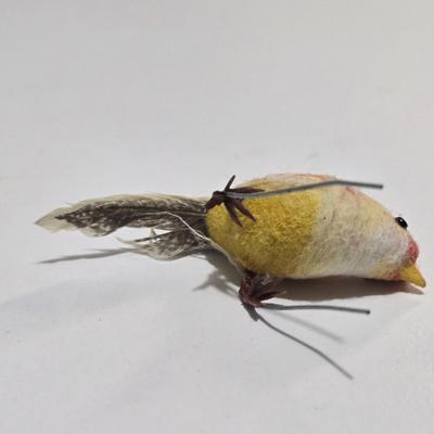 Weird old tiny bird