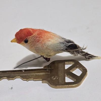 Weird old tiny bird