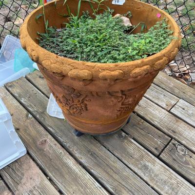 Sale Photo Thumbnail #210: Flower pots and sea shells
