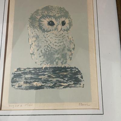 Sale Photo Thumbnail #380: 2 owl prints along with misc owl items