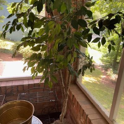 Sale Photo Thumbnail #500: 2 black metal plant stands, outdoor side table, brass container & artificial tree