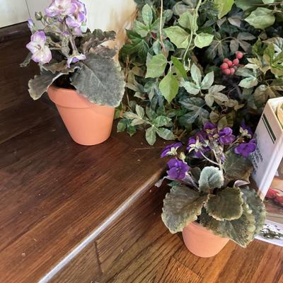 Sale Photo Thumbnail #239: House plants book
Fake plants
Fake greenery