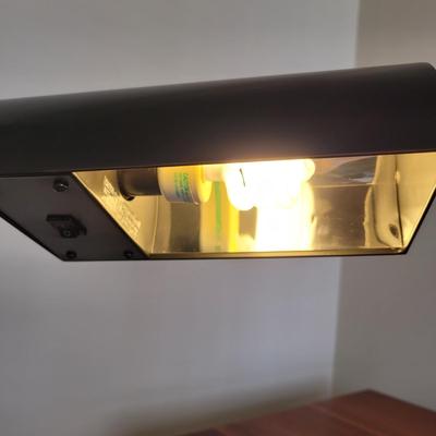 Two Metal Floor Lamps (BR2-EL)