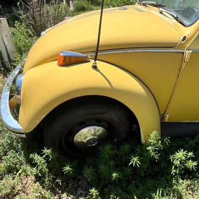 Lot 1 1972 VW Bug Beetle