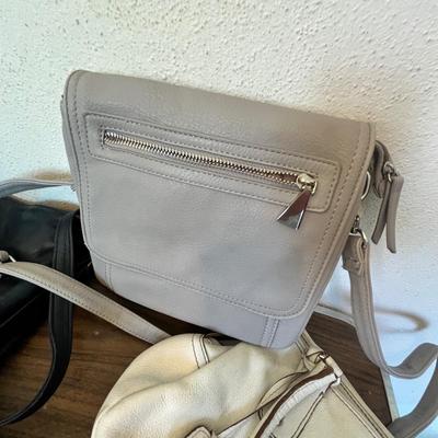 Lot 6 Purses & bags