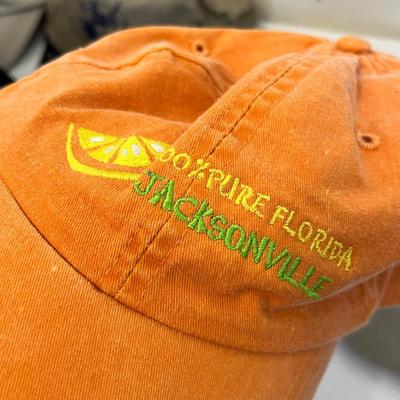Lot 12 Super lot of farmers hats