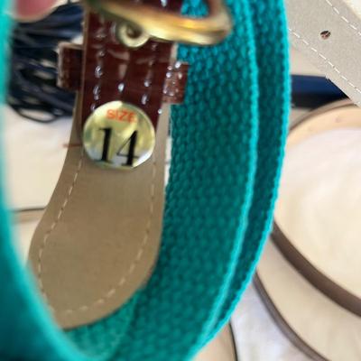 Lot 20 Women's belts