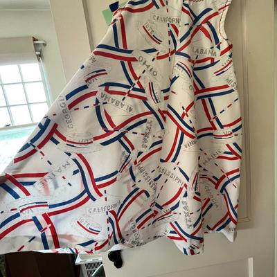 Lot 21 Patriotic get out the Vote dress