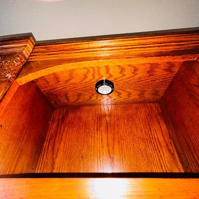 BEAUTIFUL LIT DOUBLE BOOKCASE (1 of2)