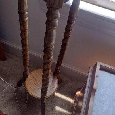 Wood Fern Stand