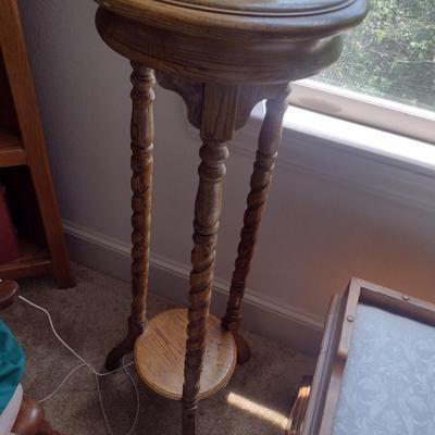 Wood Fern Stand