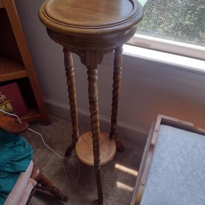 Wood Fern Stand