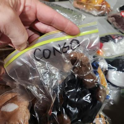 Lot of 70 Vintage Ty Beanie Babies Plush Toys w Blue Tote